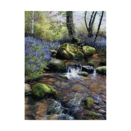 Bill Makinson 'Shallow Brook' Canvas Art,24x32